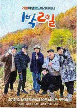 盼盼歌会 综艺 2026